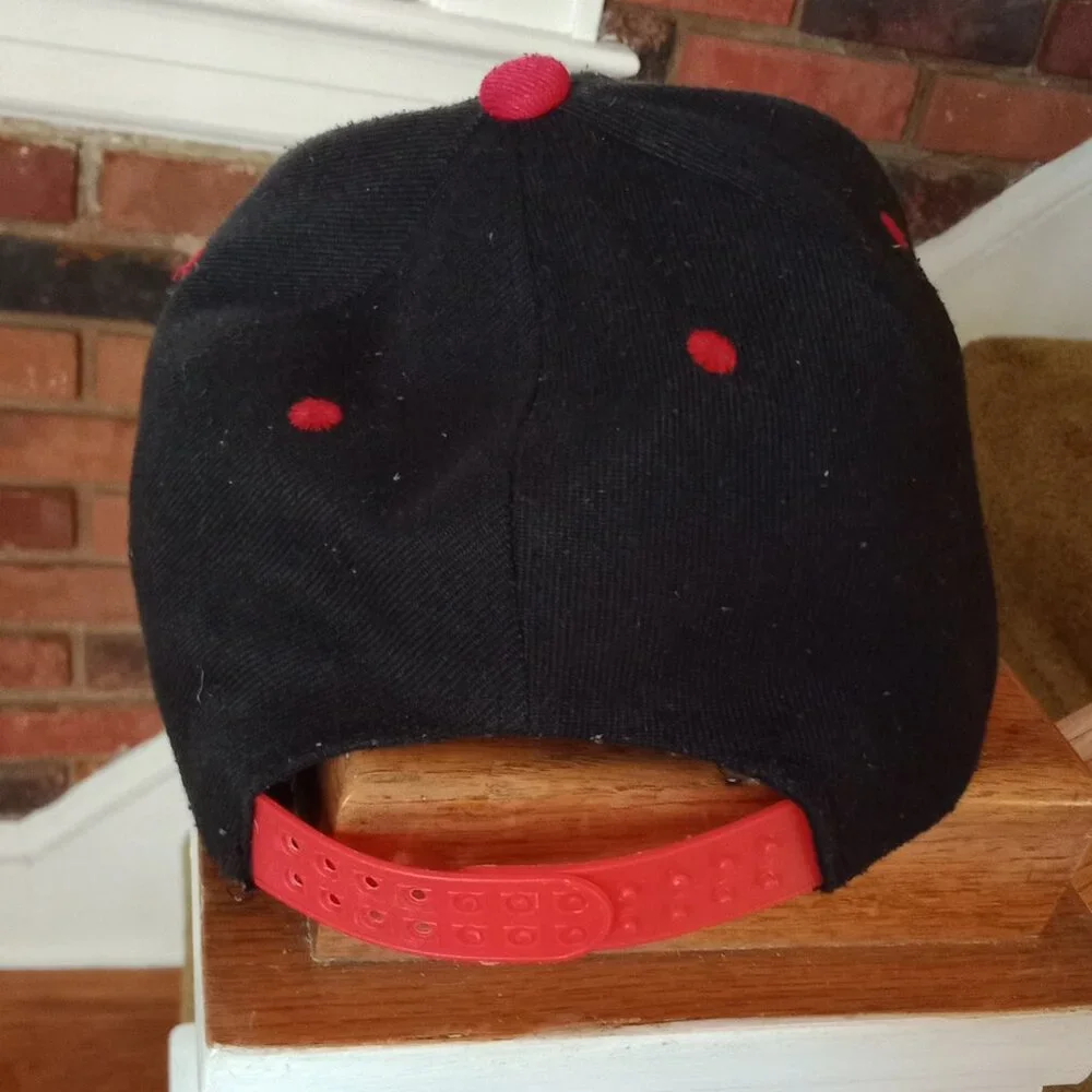 NY Cap - Picture 4 of 5